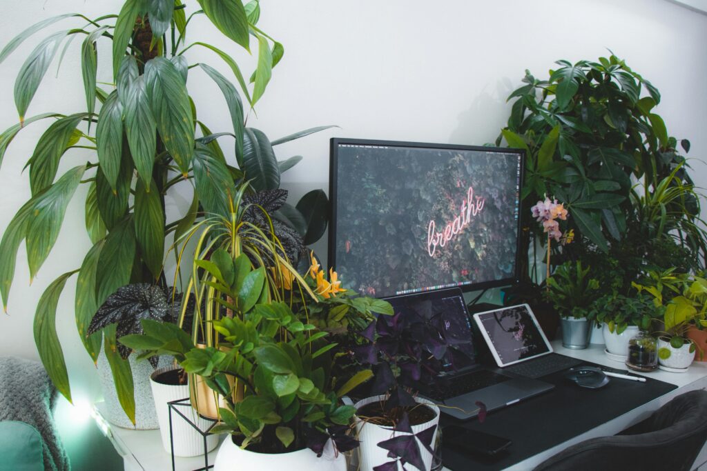 plantas e computador